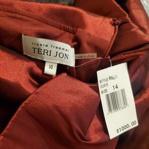 Teri John Crimson Dress